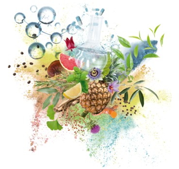 ARCHIMED Pharma Services announces the spin-off of portfolio company Suanfarma’s subsidiary, SuanNutra